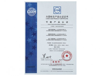 Certification of energy-saving product