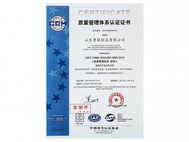 Quality Management System Certificate